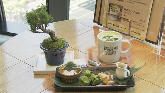 盆栽を見ながらお茶を飲む店が東京の銀座にできる