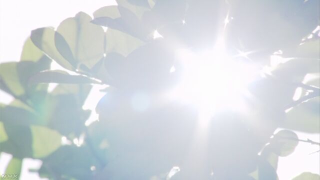 気温が高い日が多くなる 熱中症に気をつけて
