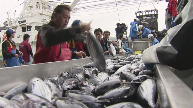 気仙沼港に今年初めてかつおを取った船が入る