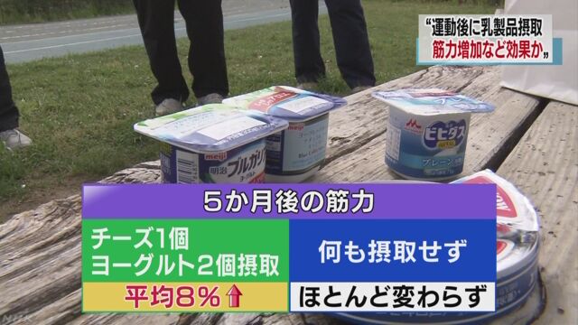 運動のあとチーズやヨーグルトを食べるとどうなるか調べる