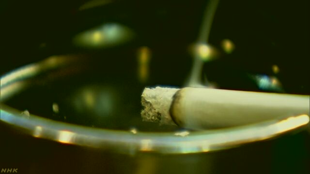 たばこが原因で1年に700万人以上が亡くなっている