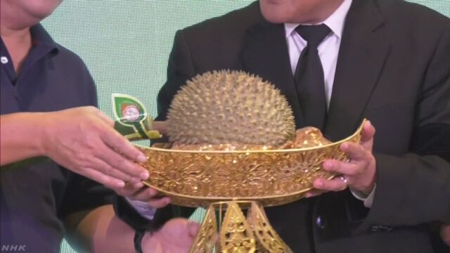 タイでドリアンのオークション 最も高い値段は97万円