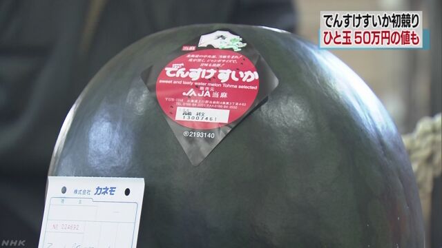 「でんすけすいか」今年初めての競りで1個50万円