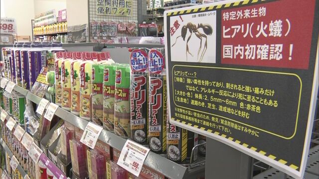 ヒアリが見つかってアリを殺す殺虫剤がたくさん売れている