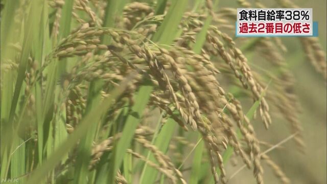 日本の食料自給率が下がる 2016年度は38%