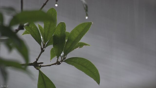関東地方と東北地方と北海道で曇りや雨の日が続いている
