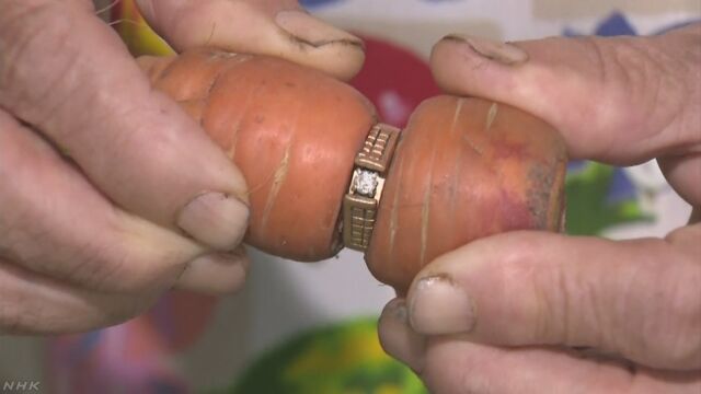 カナダ 「畑のにんじんが指輪を見つけた」
