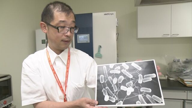 暑い季節は食中毒に気をつけて