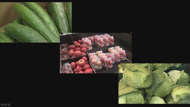 天気が悪い日が続いて野菜の値段が上がる