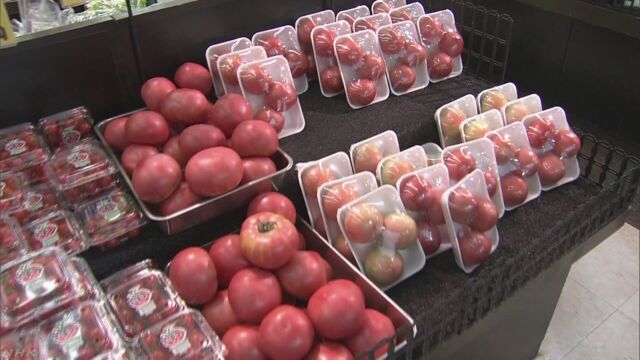 野菜 9月の後半にはいつもの年と同じ値段になりそう