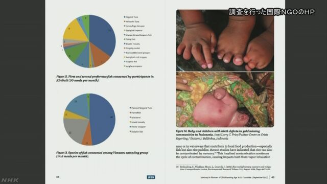 体に悪い水銀 25の国で42%の女性から見つかる