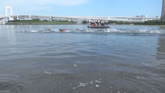 東京オリンピックで水泳を行う海 大腸菌などが多い