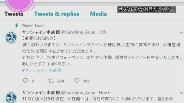 水族館の大きな水槽で1200匹以上の魚が死んでいた