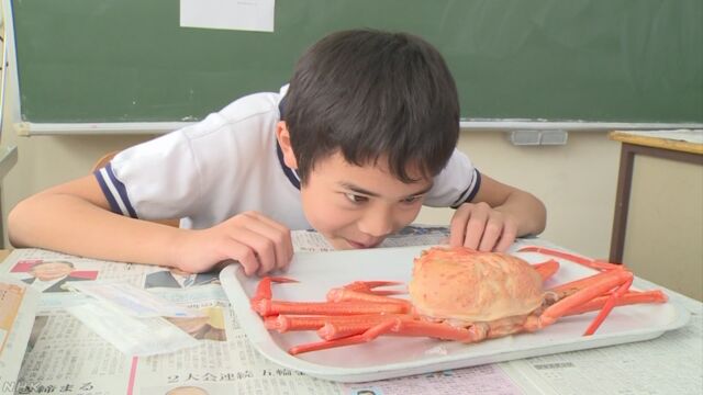 富山県 小学校の給食で1人1匹のベニズワイガニ