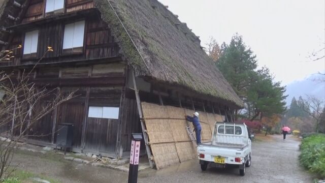 岐阜県白川村 合掌造りの家を雪から守る「雪囲い」