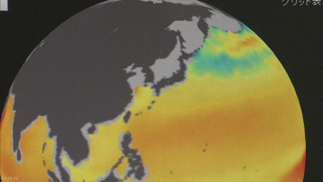 世界の海の水が二酸化炭素で酸性になっている