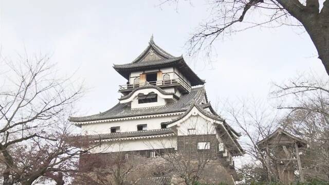 犬山城で「すす払い」 今年の汚れを掃除する