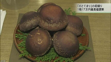 石川県 しいたけが6個で17万円になる