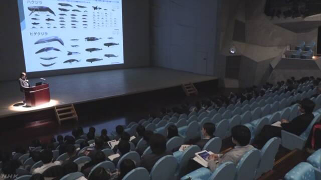 八丈島の近くの海でザトウクジラがたくさん見つかる