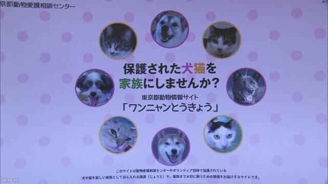 東京都が犬や猫を飼う人を探すウェブサイトを作る