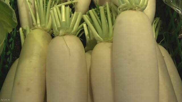 野菜の値段が今も高い