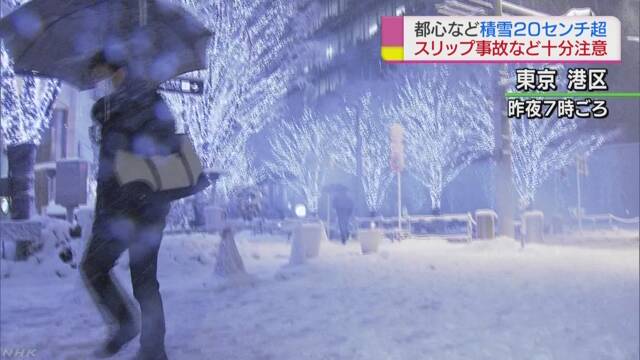 雪がたくさん降って東京の中心で23cm積もる