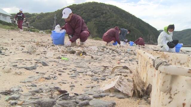 奄美大島で海岸に流れてきた油の掃除が始まる