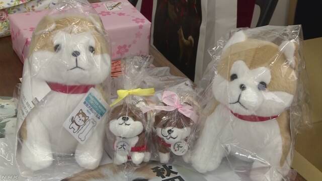 ザギトワ選手に秋田犬のぬいぐるみ 秋田県と大館市が送る