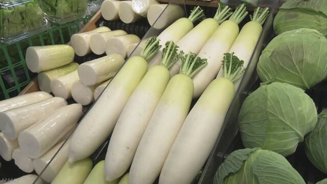 農林水産省 高かった野菜が少しずつ安くなってきた