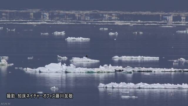 北海道 氷が水平線に浮いているように見える
