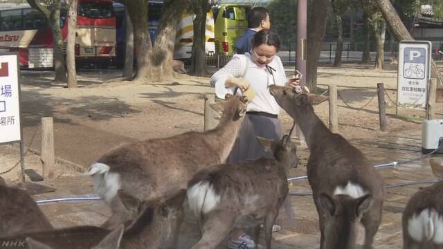 奈良公園 鹿のお菓子のあげ方を英語と中国語で看板に書く