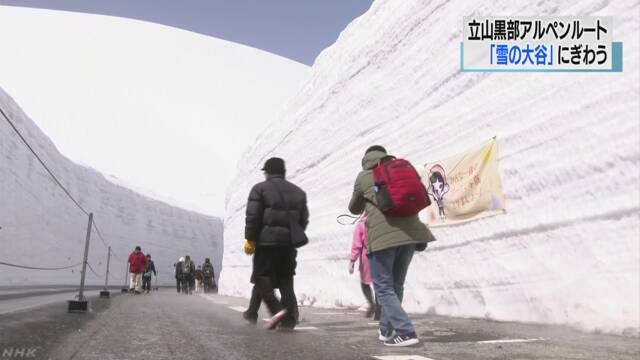 「立山黒部アルペンルート」で雪の壁などの景色を楽しむ