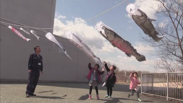 北海道 子どもの日の前に「サケのぼり」を飾る
