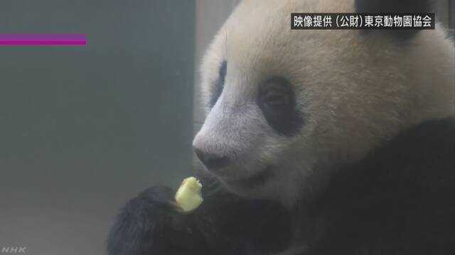 パンダのシャンシャン 6月5日から並んだ順番で見せる