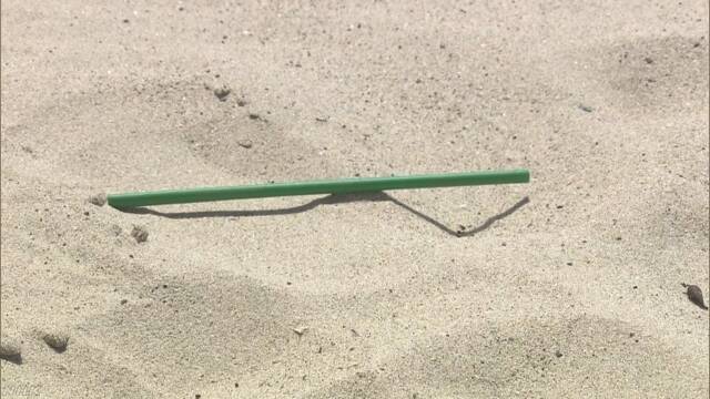 EU プラスチックの皿やストローなどの禁止を考える