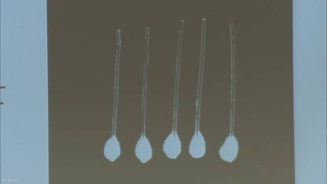 髪を作る「毛包」がたくさんできる技術