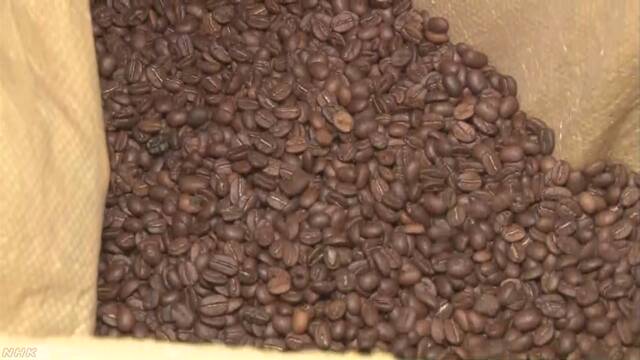 グアテマラ 火山の噴火でコーヒー豆の畑がだめになる