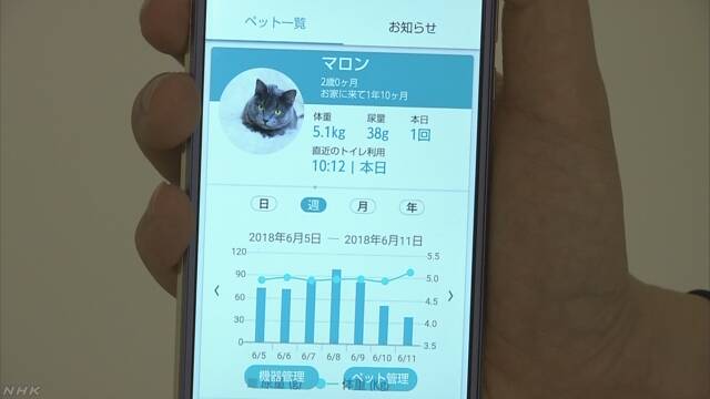 猫の健康を調べるトイレ