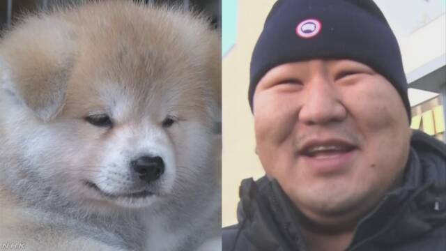 日本とモンゴルの交流のために朝青龍に秋田犬をプレゼント