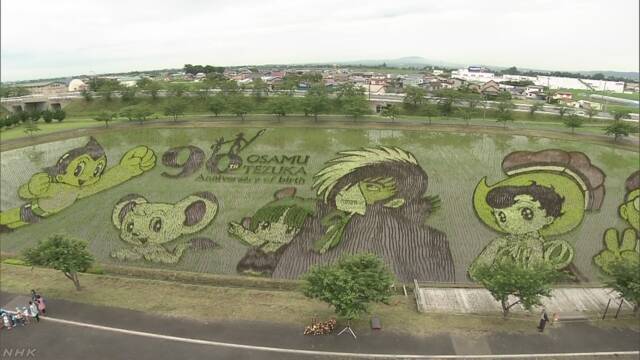 青森県 田んぼに漫画のキャラクターの大きな絵を作る