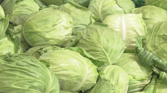 暑さで野菜の値段が高くなる