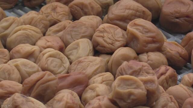 「熱中症にならないように」梅干しの注文が増える