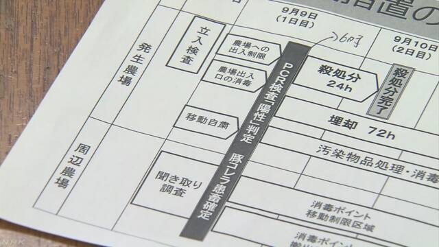 岐阜市で豚の病気「豚コレラ」が見つかる