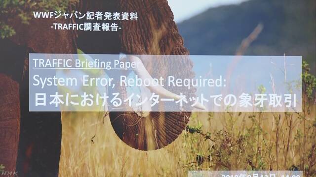 「象牙を使った物をインターネットで売らないでほしい」