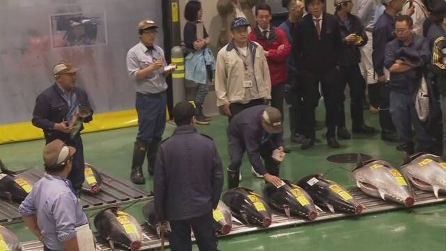 東京都の豊洲市場がオープンする
