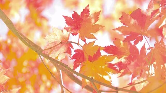 蔵王連峰で紅葉がきれいな季節