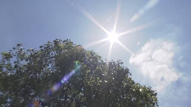 今年の世界の平均の気温は今までで4番目に高い
