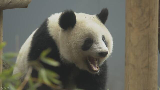 東京都 シャンシャンをいつ返すか中国と話したい