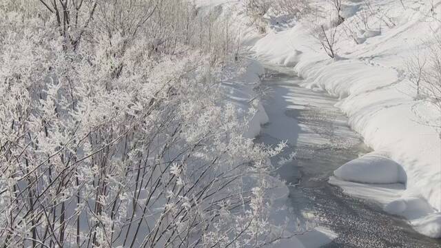 北海道 空気の中の氷が光る「ダイヤモンドダスト」