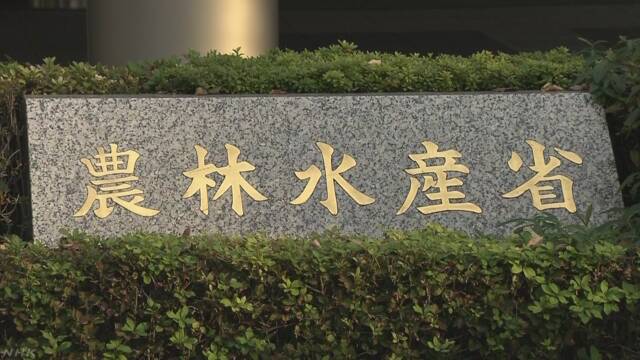 「アフリカ豚コレラ」が中国から入らないように空港で検査
